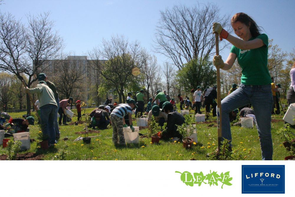 © 2012 LEAF Planting Trees