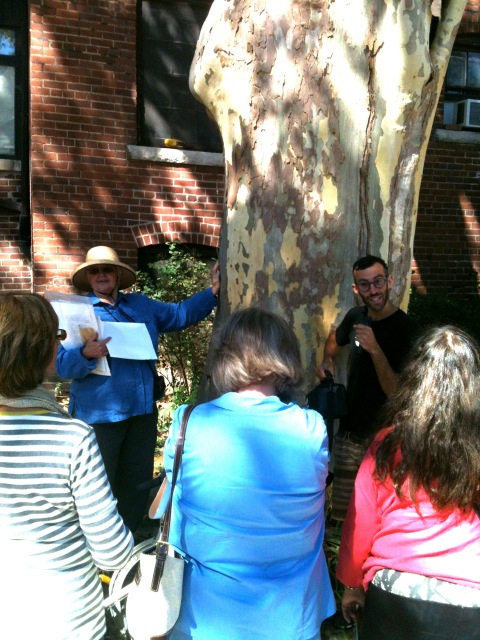 Mark giving the tree tour