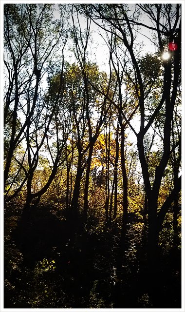 Merill Bridge Park