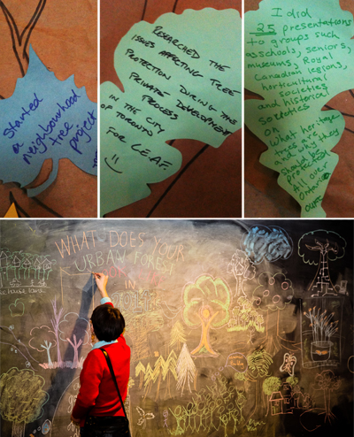 Leaves and chalkboard
