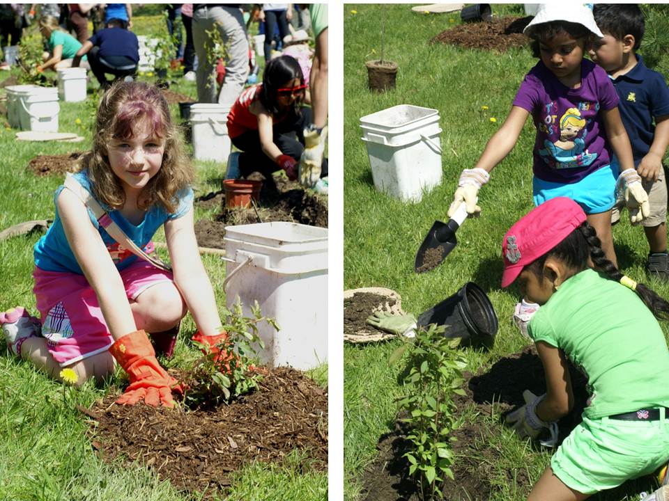 Planting Trees