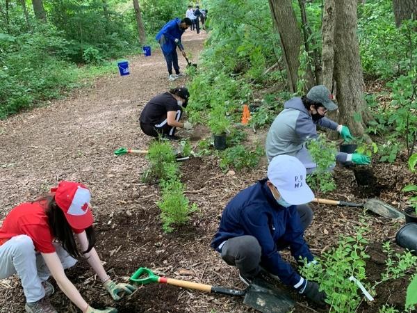 A group of people next to a forest trail planting trees