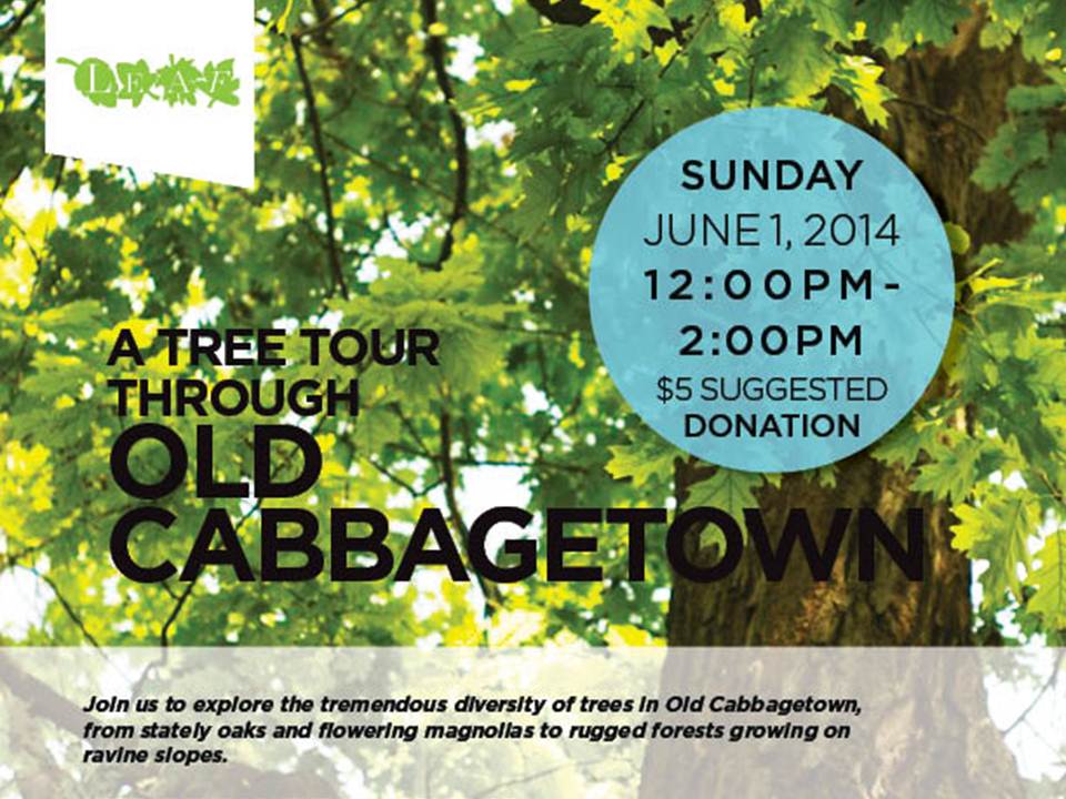 Cabbagetown Tour
