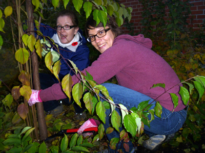 Pruning