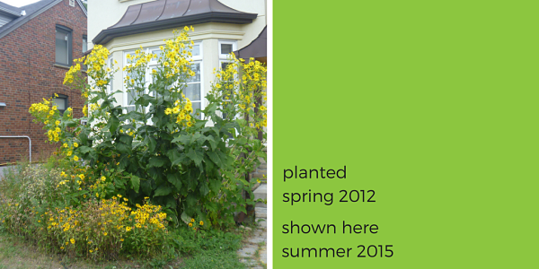 ©2015 Karen / LEAF