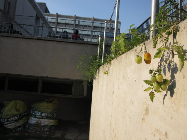 © 2011 UofT Campus Agriculture