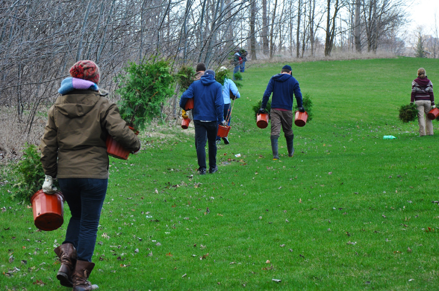 Volunteers placing new trees and shrubs
