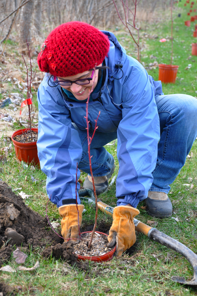 Robyn planting a tree
