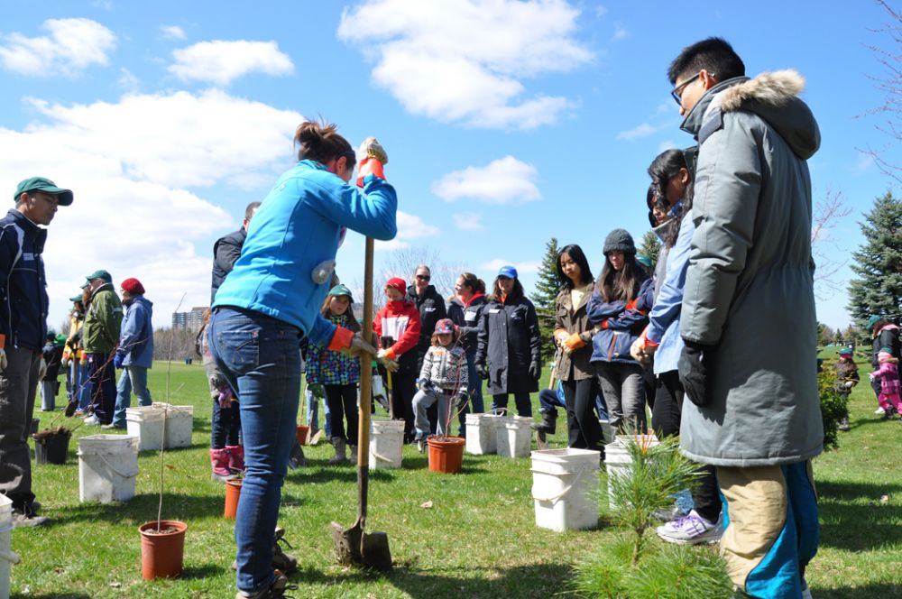 LEAF Tree Tenders teaching about proper planting 
