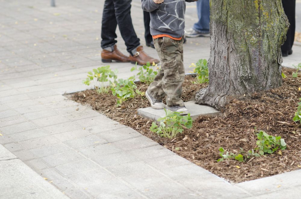 Depave Junction