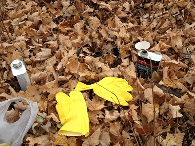 Maple Leaf Forever process