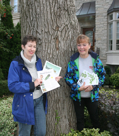 Donna and Linda