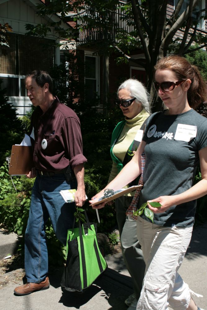 LEAF EAB Ambassadors