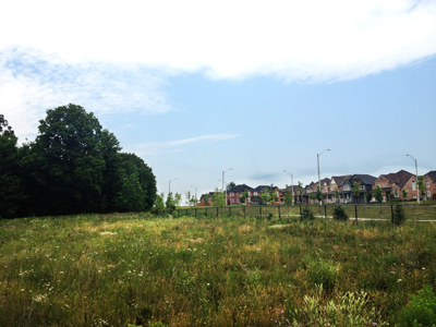 Edge of Markham