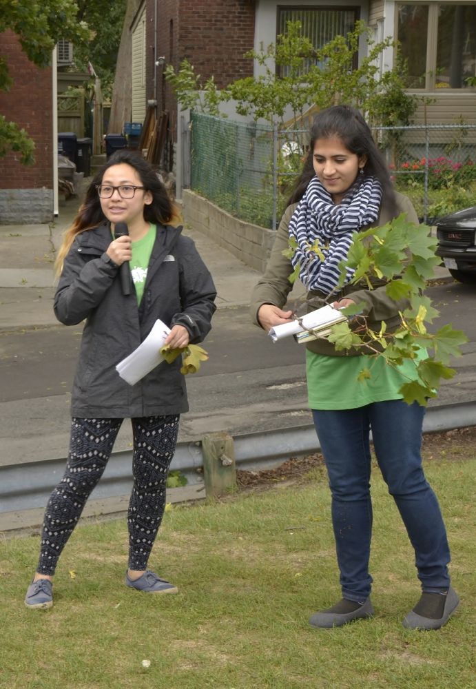 Kristine (left) and Harnoor (right) discuss Norway maples