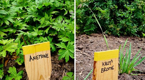 Plant Labels at High Park Garden