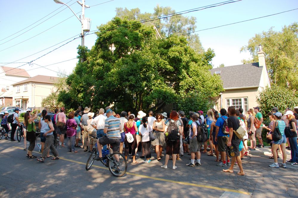 LEAF edible tree tour