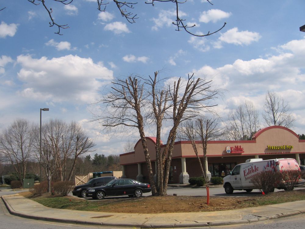 Topped tree