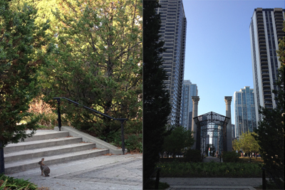 Chicago's Millennium Park