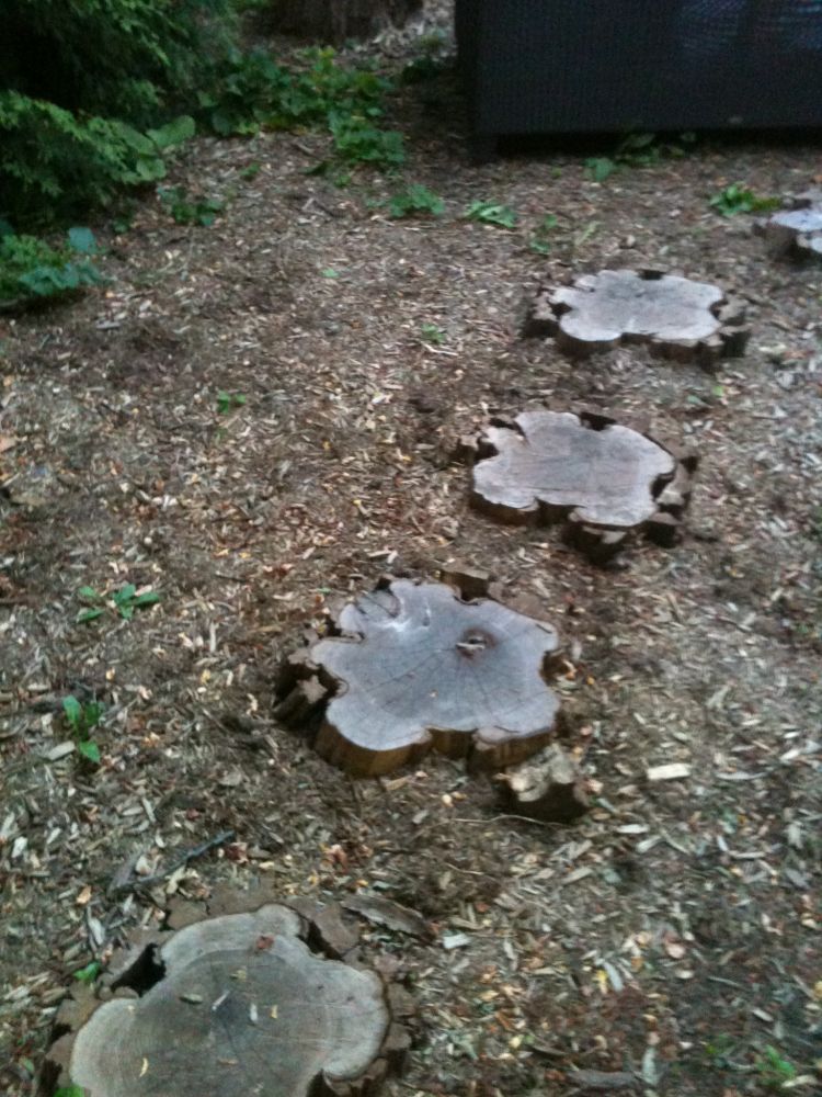 cookies from black locust as paving stones