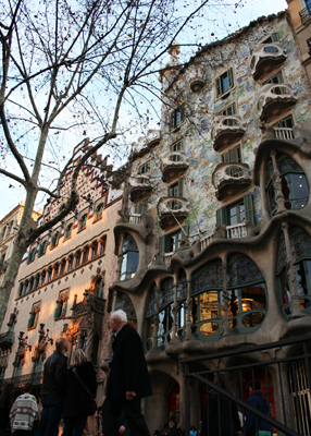 London Plane in front of the Casa Batllo
