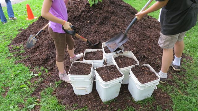 mulch pile!
