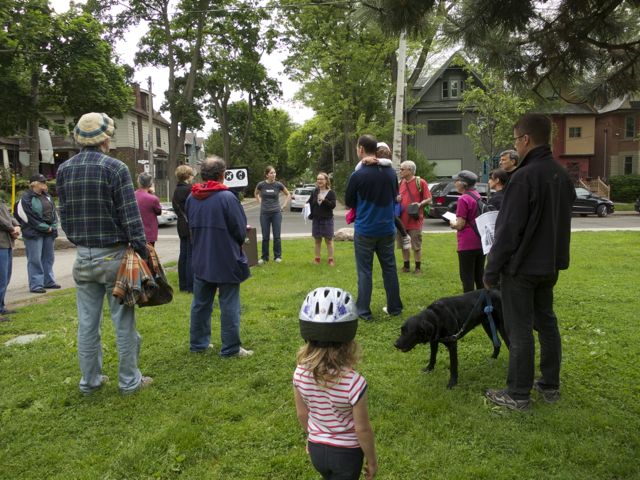 Tree Tour
