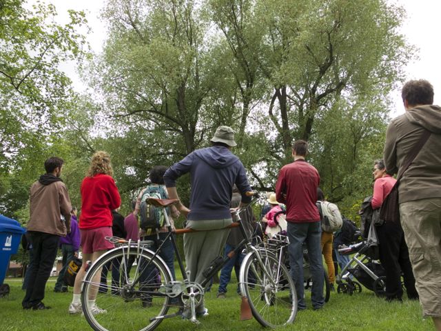 Tree Tour in Withrow Park