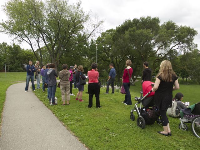 Tree Tour in Withrow Park