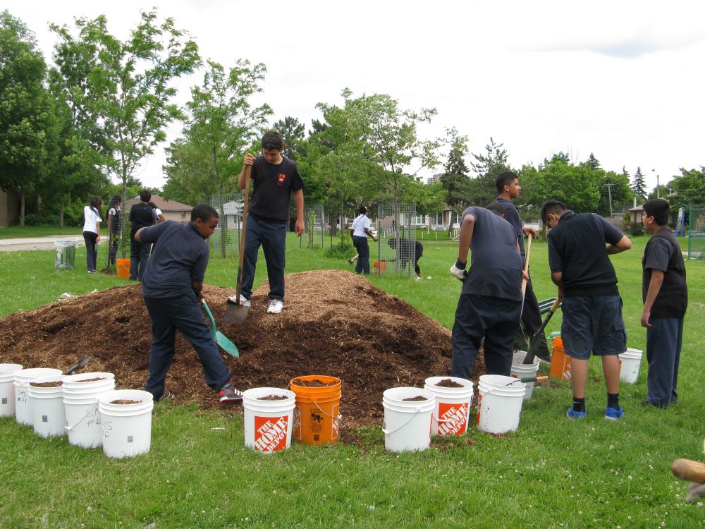 Students and the urban forest