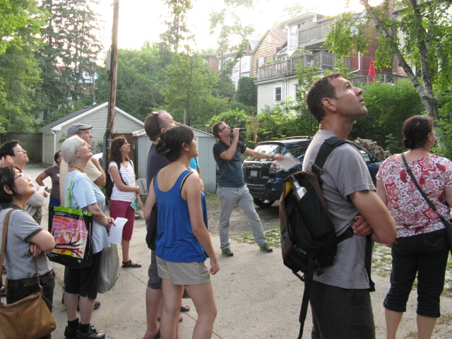 Salvaging urban wood tree tour