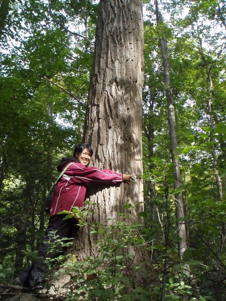 Tree Hugging on the Niagara Escarpment