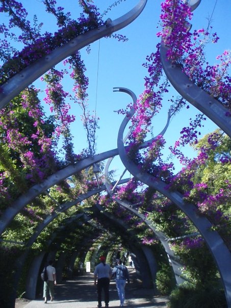 The Arbor in Brisbane, Australia