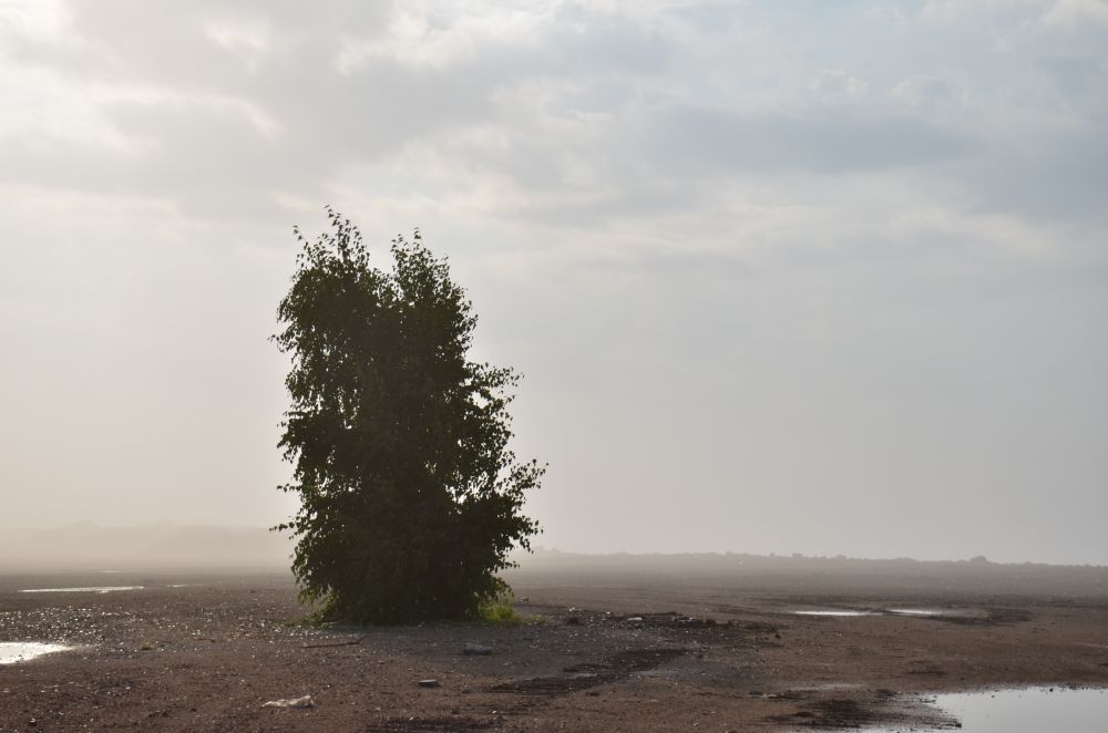 Photo of the Month: Leslie Spit