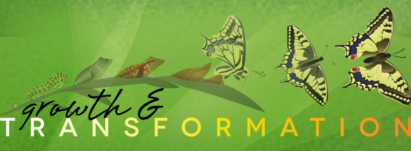 Latornell Conservation Symposium Banner 2014