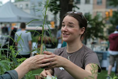 Native plant sale 