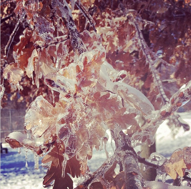 #IceStormTO