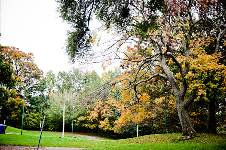 © 2013 Kanchan Maharaj / LEAF Monarch Park in the fall