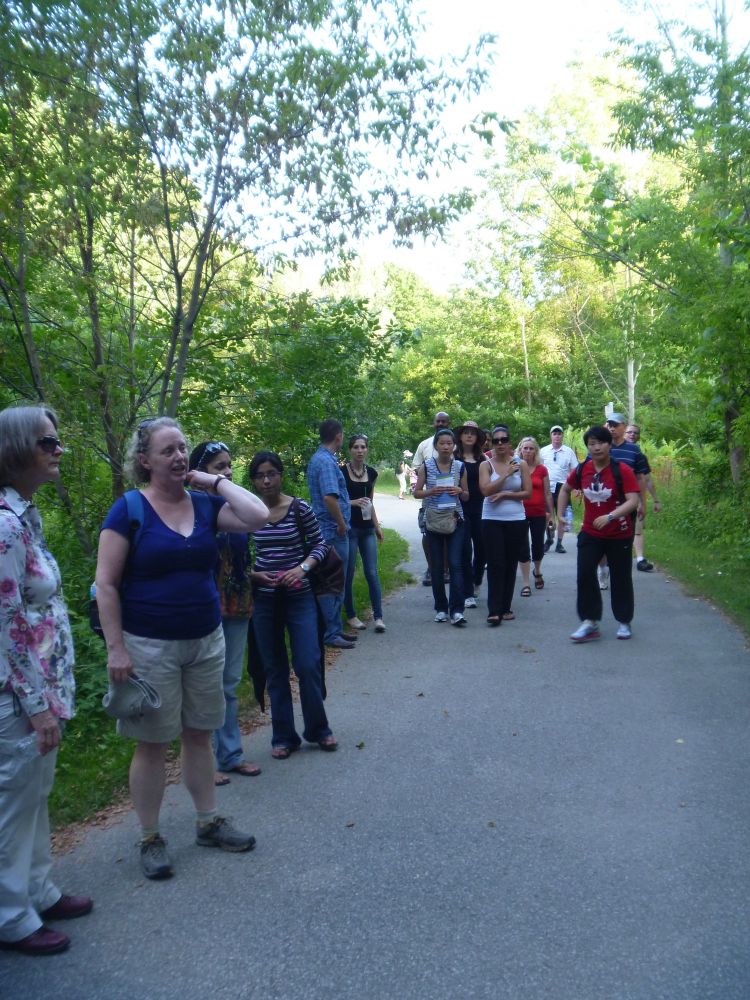 Morningside Tree tour