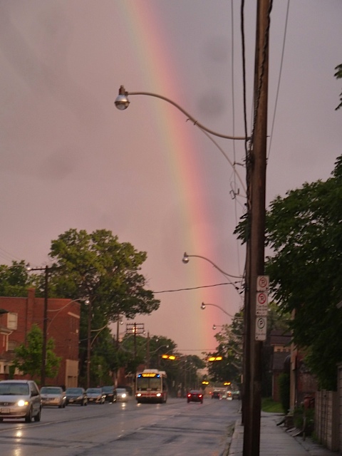 Rainbow after canvassing