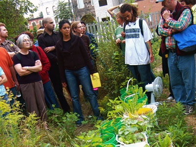 Parkdale Tree Tour 2007