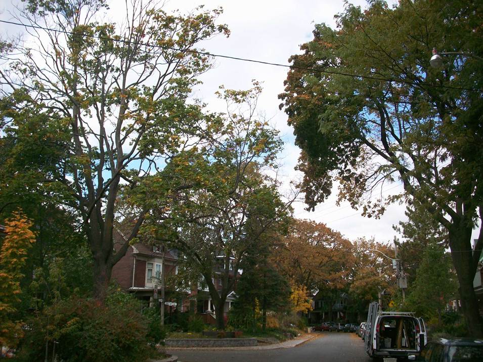 Ravina Cres
