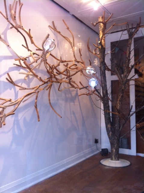Ash out of quarantine exhibit