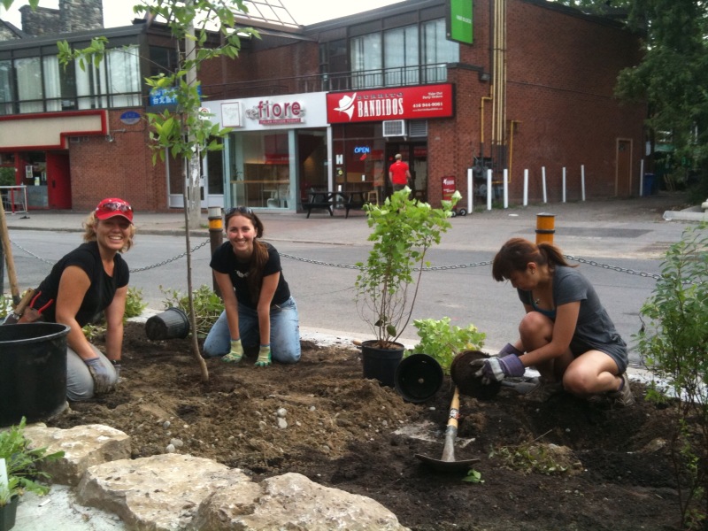 Spadina station planting