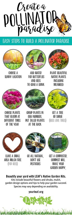 Infographic showing how to create a pollinator paradise