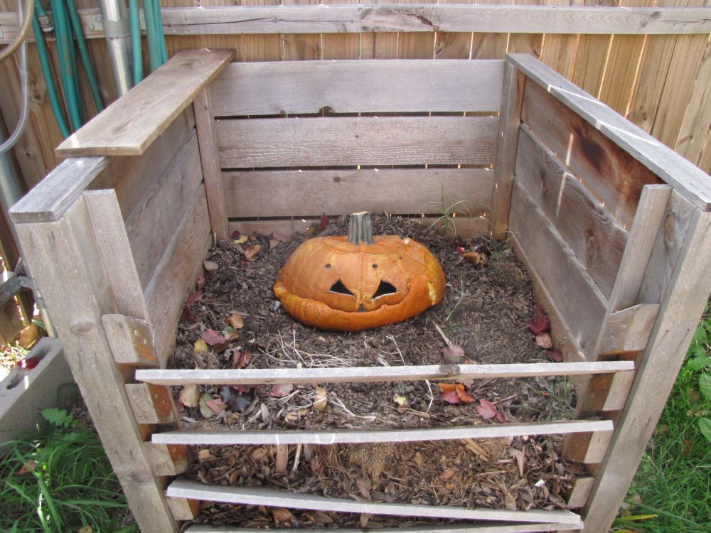 2012 Ben Bunham, Creative Commons Pumpkin compost