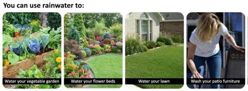 Use rainwater to water your laws, flowers or vegetables, or to wash patio furniture