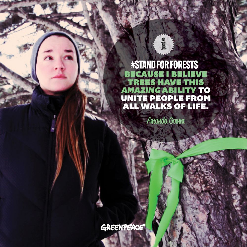 © 2014 Amanda Gomm #StandForForests