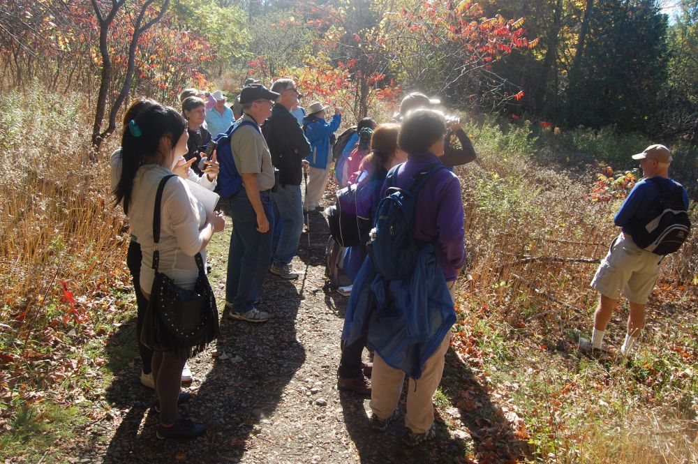 © 2013 Robyn Stewart / LEAF Rouge Park Tree Tour