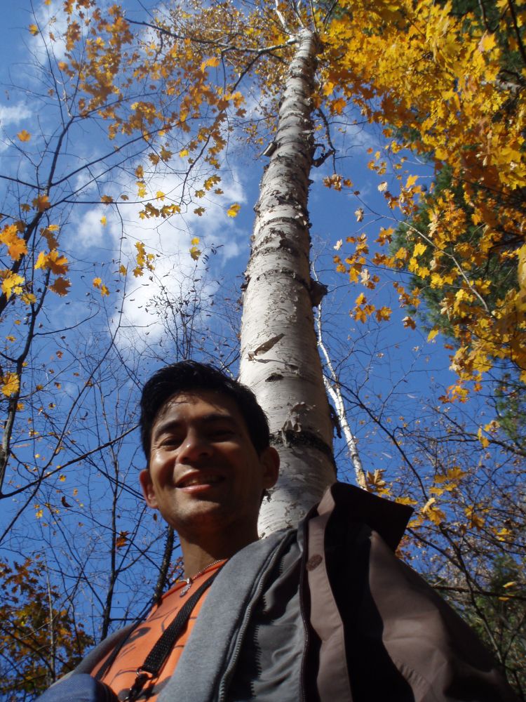 © 2008 Chang Liu Chang in Autumn